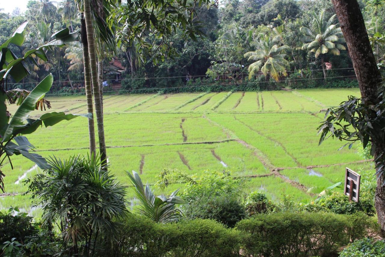 Paddy Field Villa Oost-Midigama Buitenkant foto