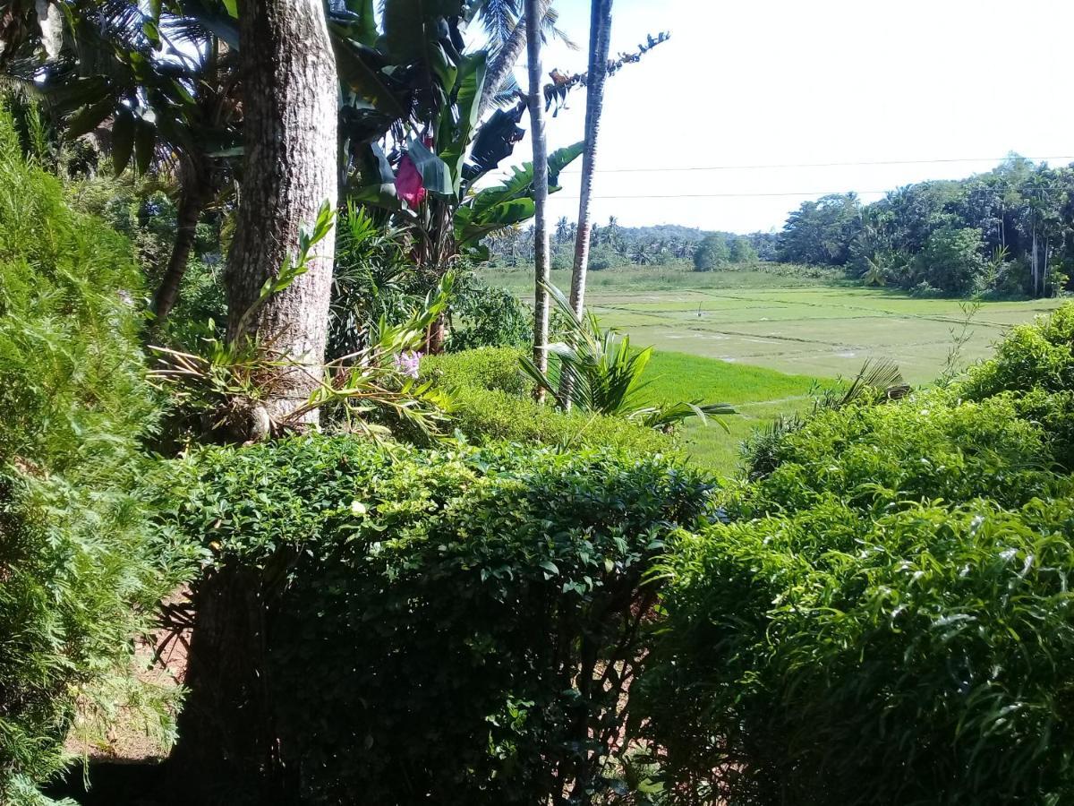 Paddy Field Villa Oost-Midigama Buitenkant foto