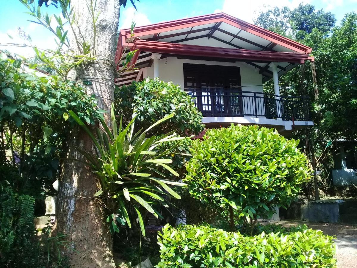 Paddy Field Villa Oost-Midigama Buitenkant foto
